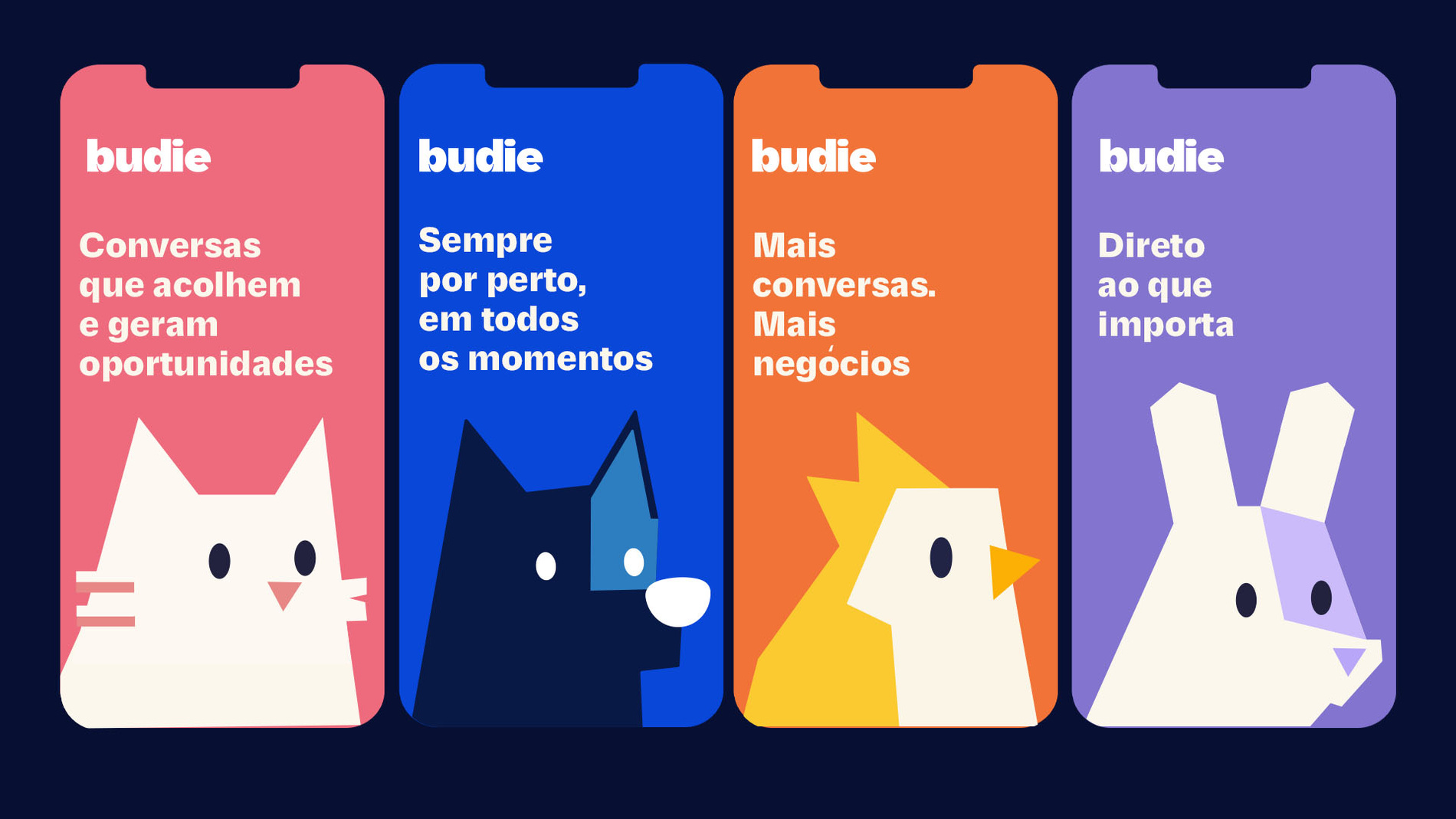 Case Budie